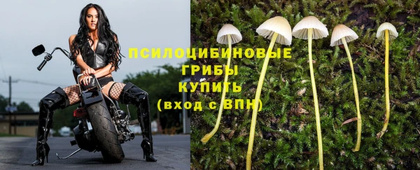 apvp Алексин