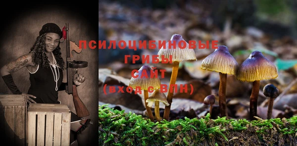 apvp Алексин