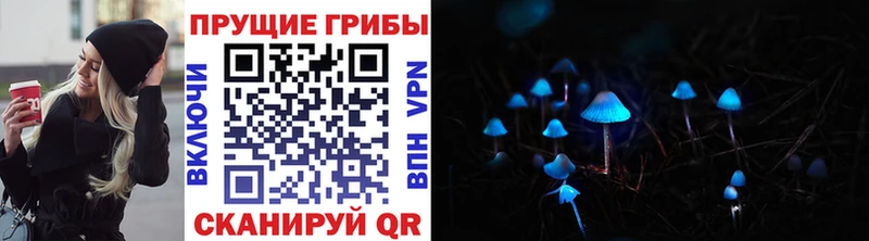 хочу   Моздок  Галлюциногенные грибы GOLDEN TEACHER 